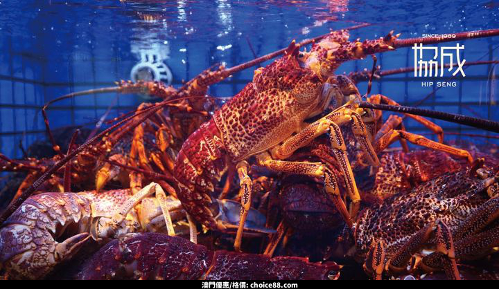 澳門優惠 終 於喜迎期盼已久的堂食好消息啦優惠 1