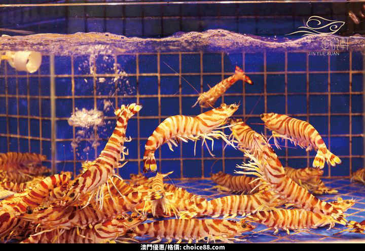 澳門優惠 全澳金悅軒 協成至抵優惠倒數6天啦 5