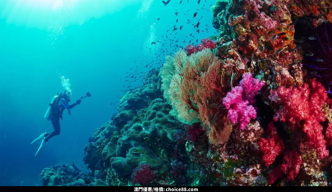 澳門優惠 呢個就係有泰國最美海島之稱優惠 2