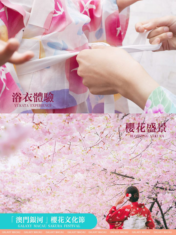 澳門優惠 五一黃金攻略優惠 6