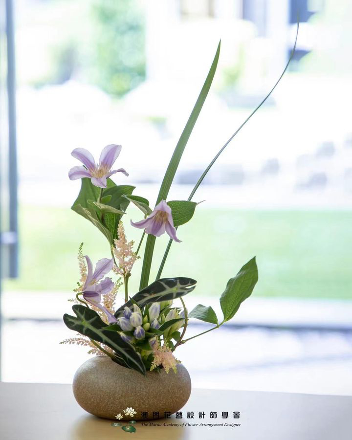 澳門優惠 五一黃金週澳門必去免費 5