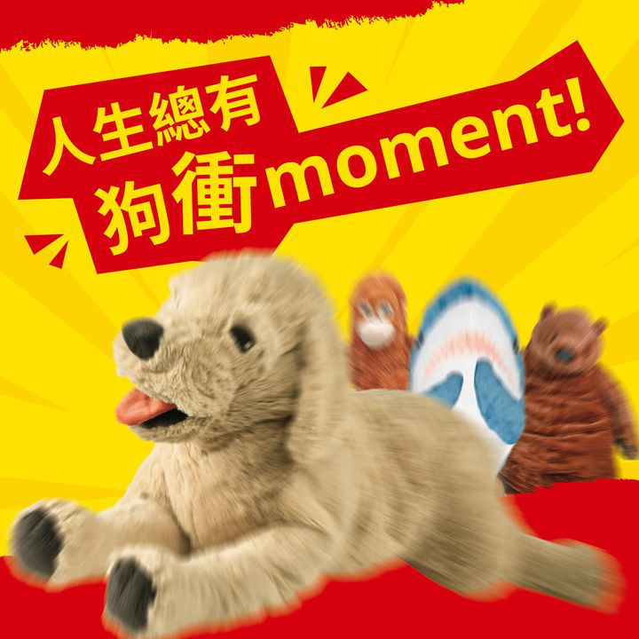 澳門優惠 見到女神要衝去追 減價機票要衝去買 花生要衝去食 咁IKEA 夏日大減價你衝咗未先5折優惠 0