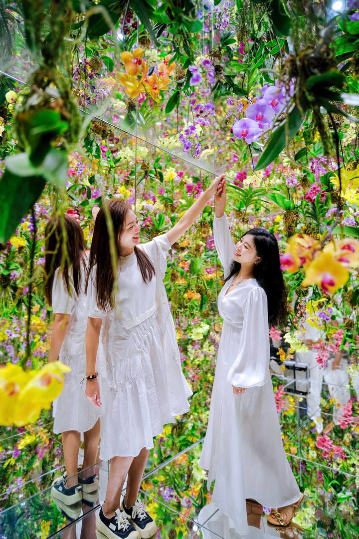 澳門優惠 中銀信用卡限定優惠 賞你遊澳門 2