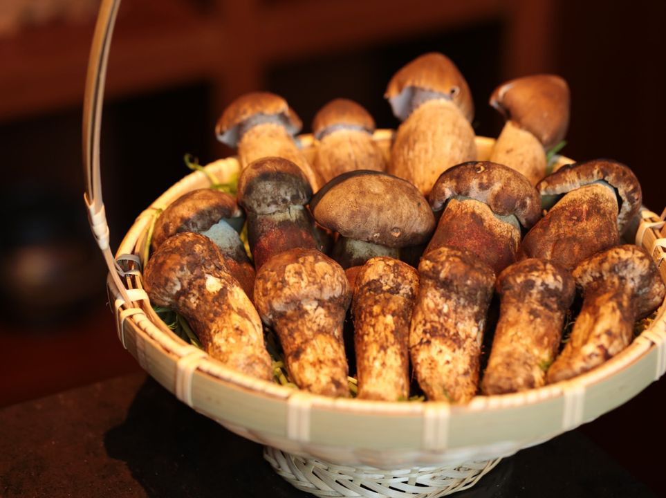 澳門優惠 金秋菌宴 Autumn Mushroom Promotion優惠 0