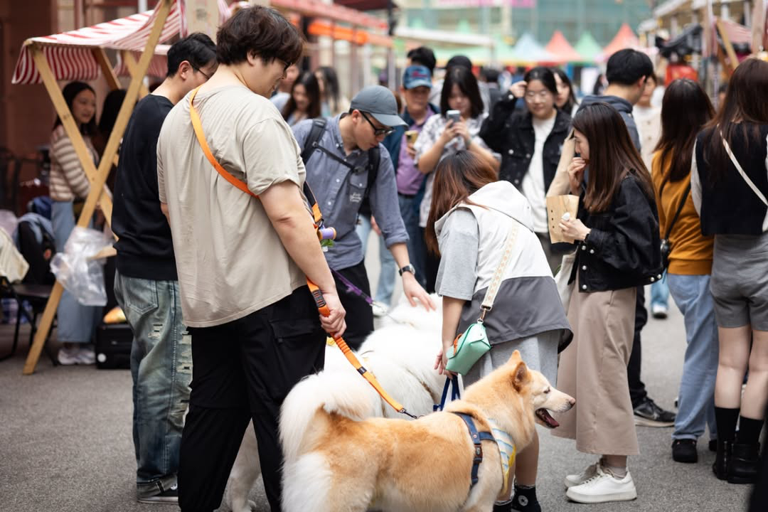 澳門優惠 2025 寵生活 周末市集免費 3