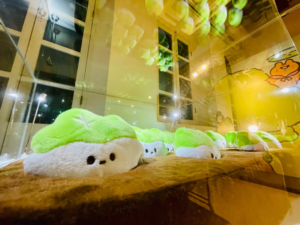 澳門優惠 狂想屋正式入伙啦 入伙啦有限 4