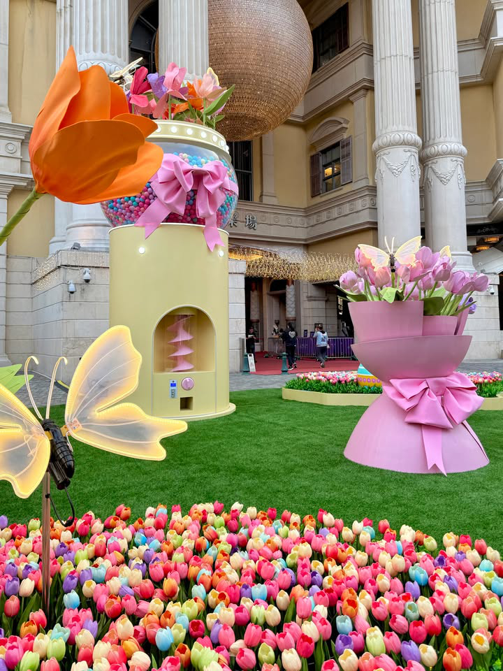 澳門優惠 2025澳門4月旅遊必看攻略優惠 7