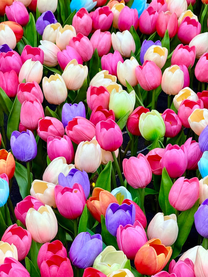 澳門優惠 2025澳門4月旅遊必看攻略優惠 8